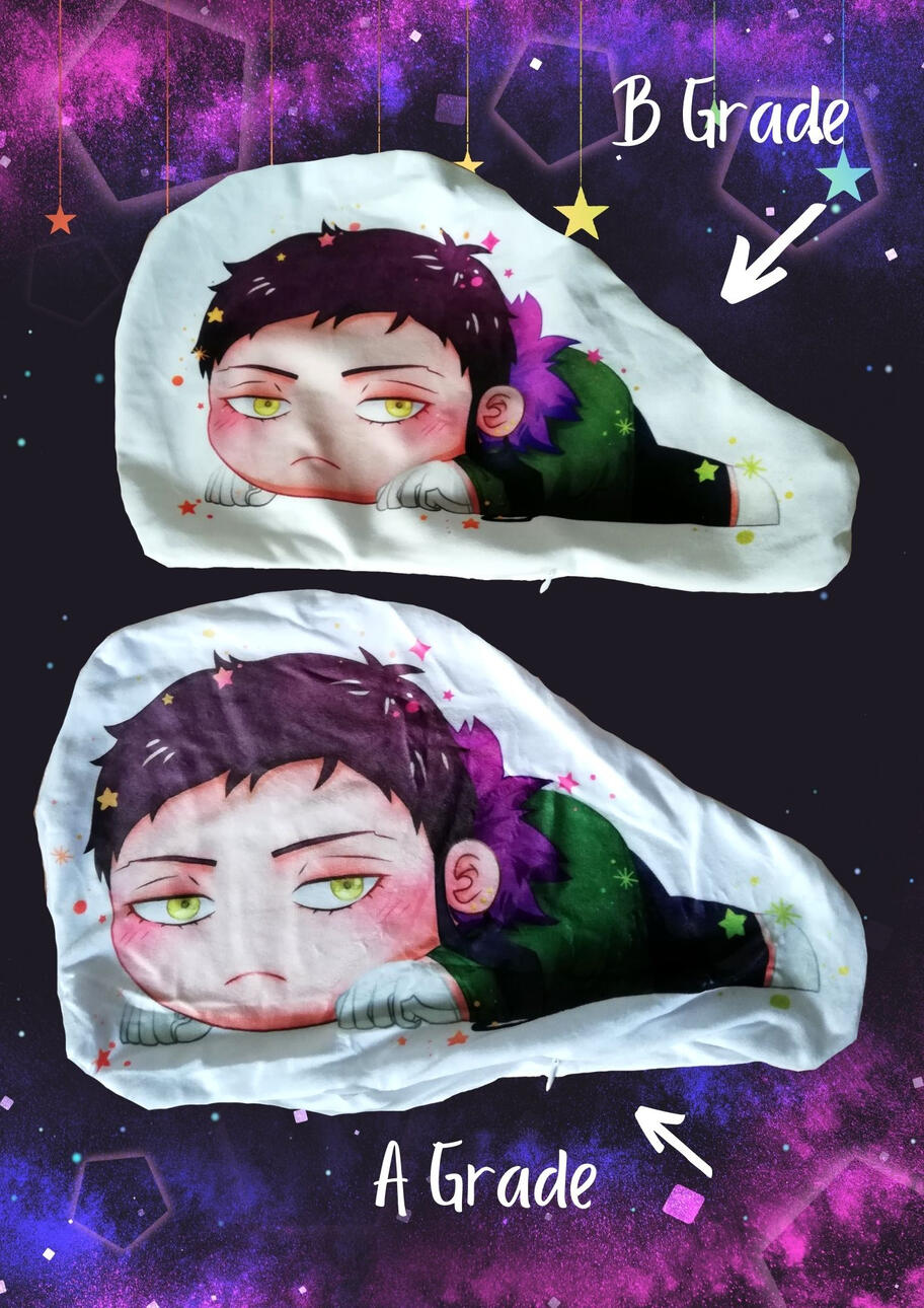 A/B Grade Chisaki Pillows